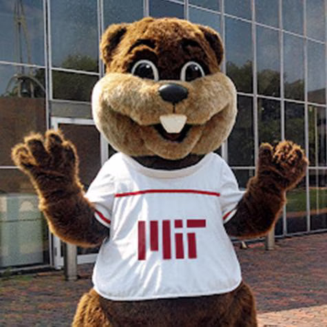 Shop Tim The Beaver – The COOP