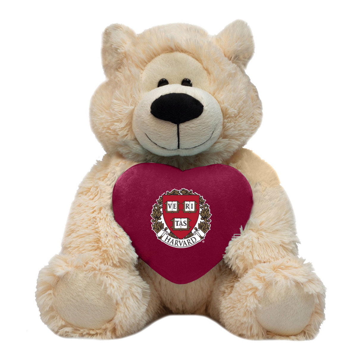 ハーバード　ベアー　テディベア Harvard Sophie Stuffed Teddy Bear with Heart – The COOP