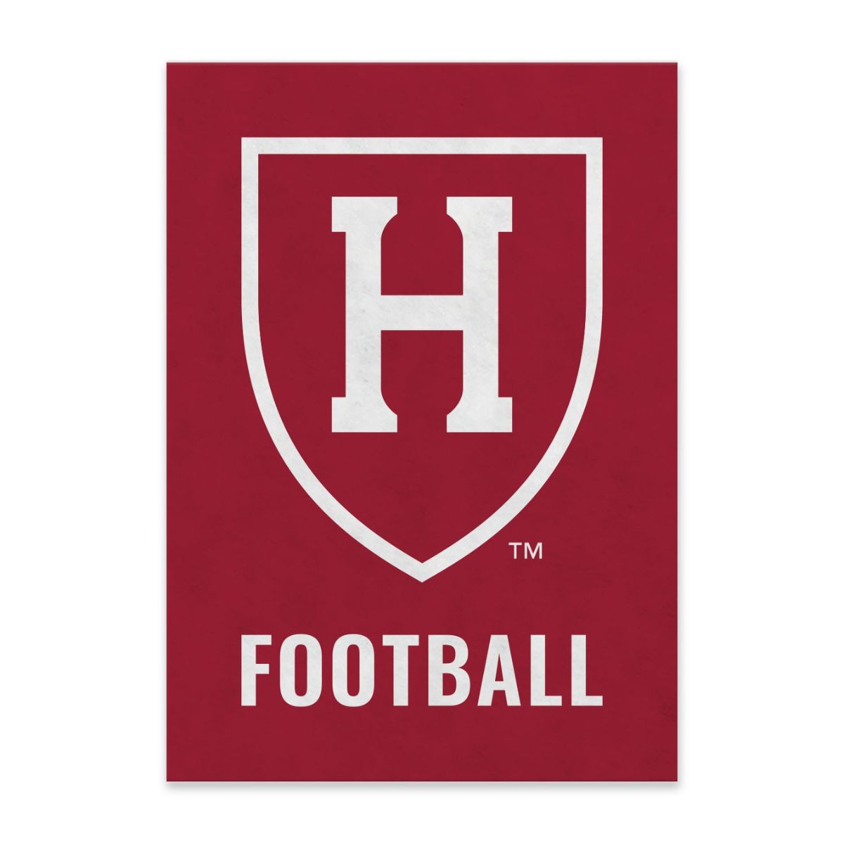 Harvard Football Felt Pennant – The COOP
