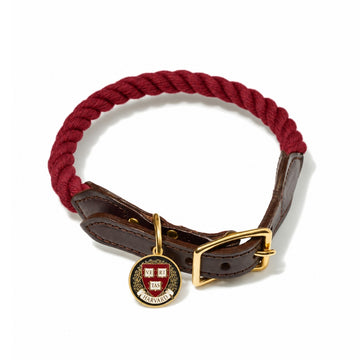 Harvard Found Dog Rope Collar