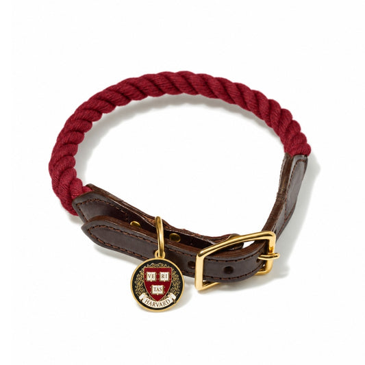 Harvard Found Dog Rope Collar