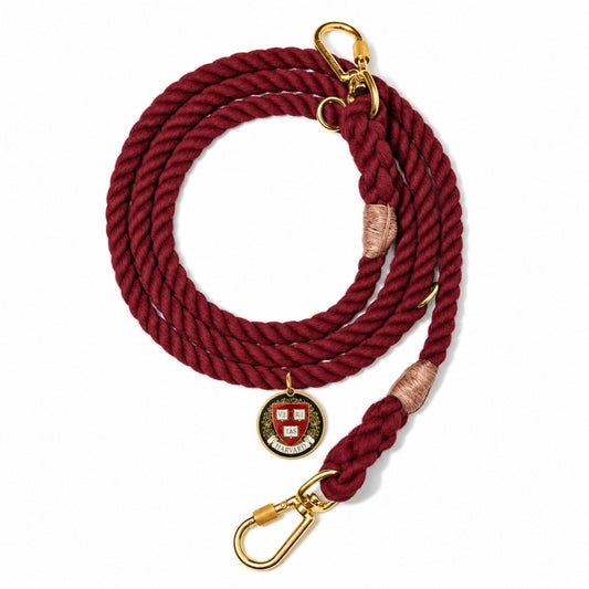 Harvard Found Dog Rope Leash