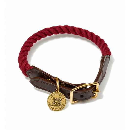 MIT Found Dog Rope Collar