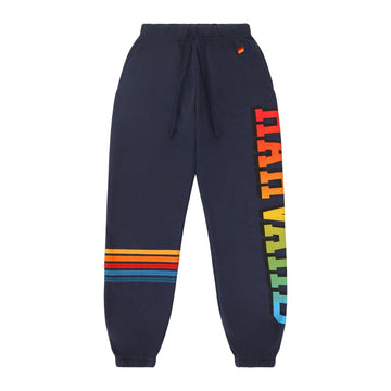 Harvard Aviator Nation Unisex Pocket Sweatpants