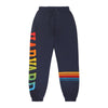 Harvard Aviator Nation Unisex Pocket Sweatpants
