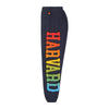 Harvard Aviator Nation Unisex Pocket Sweatpants