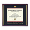 1736-MIT Medallion Diploma Frame_Windsor.jpg