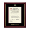 193-Harvard Gold Embossed Diploma Frame in Gallery or Regency Gold_Gallery_Harvard - Public Health_14.jpg