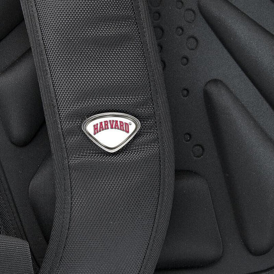 2517-Harvard Executive Backpack with Custom Medallions_media_02.jpg