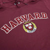 2549-Harvard Champion Applique Hooded Sweatshirt_media_02.jpg