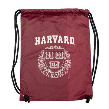 2677-Harvard Drawstring Bag_media.jpg