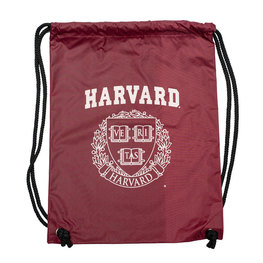 2677-Harvard Drawstring Bag_media.jpg