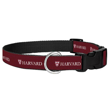 3113-Harvard Dog Collar_media.jpg