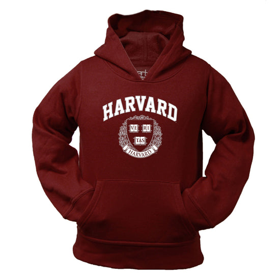 3133-Harvard Toddler Pullover Hoodie_media.jpg