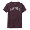 3166-Harvard Youth Victory Falls Tri-Blend Tee_media_01.jpg