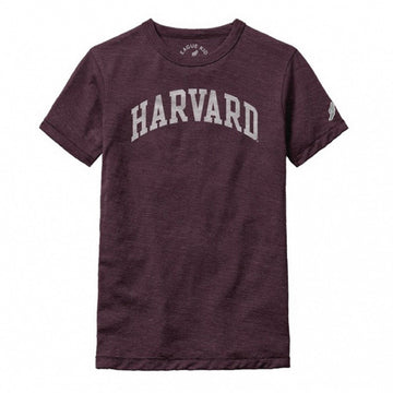 3166-Harvard Youth Victory Falls Tri-Blend Tee_media_01.jpg