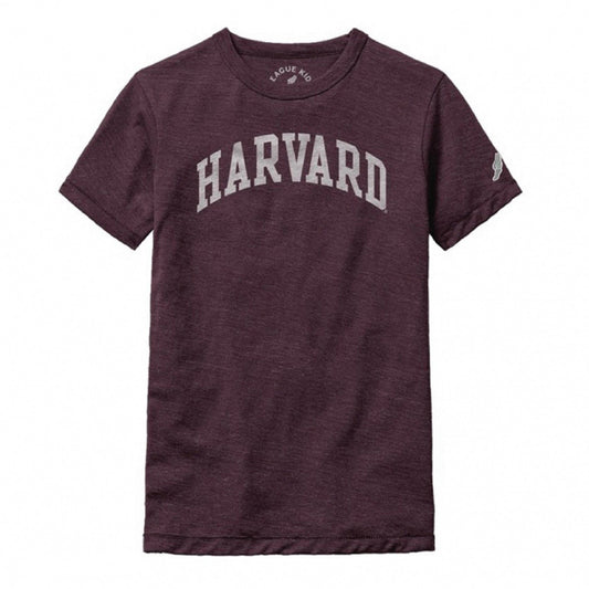 3166-Harvard Youth Victory Falls Tri-Blend Tee_media_01.jpg