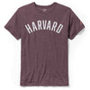 3402-Harvard Tri-Blend Arched Logo Tee Shirt_Maroon.jpg