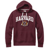3793-Harvard League Jersey Applique Stadium Hooded Sweatshirt_media_01.jpg