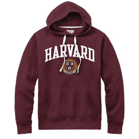 3793-Harvard League Jersey Applique Stadium Hooded Sweatshirt_media_01.jpg
