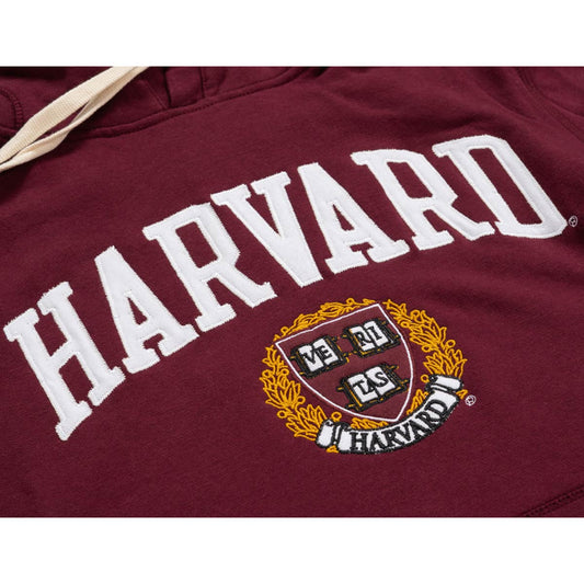 3793-Harvard League Jersey Applique Stadium Hooded Sweatshirt_media_03.jpg