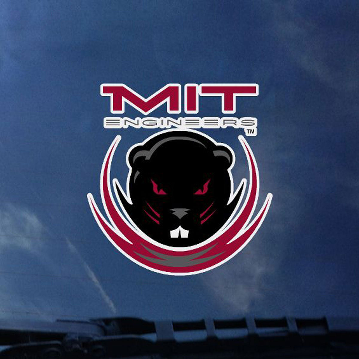 3939-MIT Daper Seal Outside Decal_media.jpg