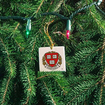 4182-Harvard Screencraft Tileworks Ornament_media.jpg