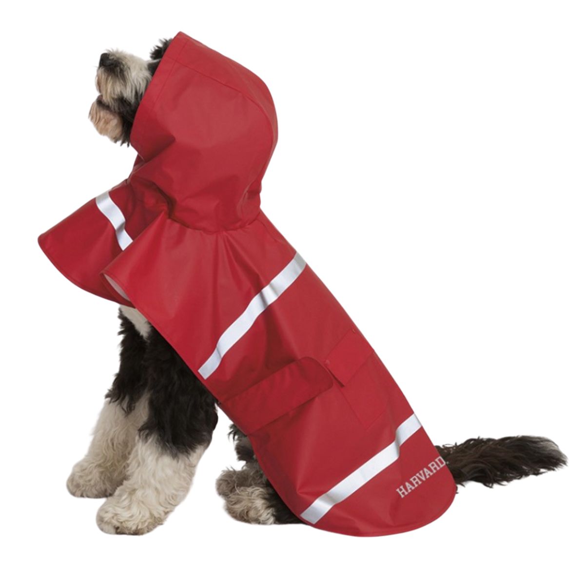 Harvard New Englander Doggie Rain Jacket – The COOP