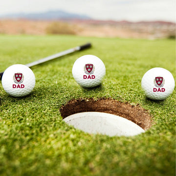 4347-Harvard Dad TaylorMade Set of 3 Golf Balls_media.jpg