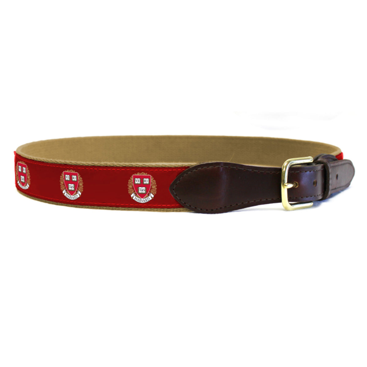 Harvard Canvas Ribbon Belt – The COOP