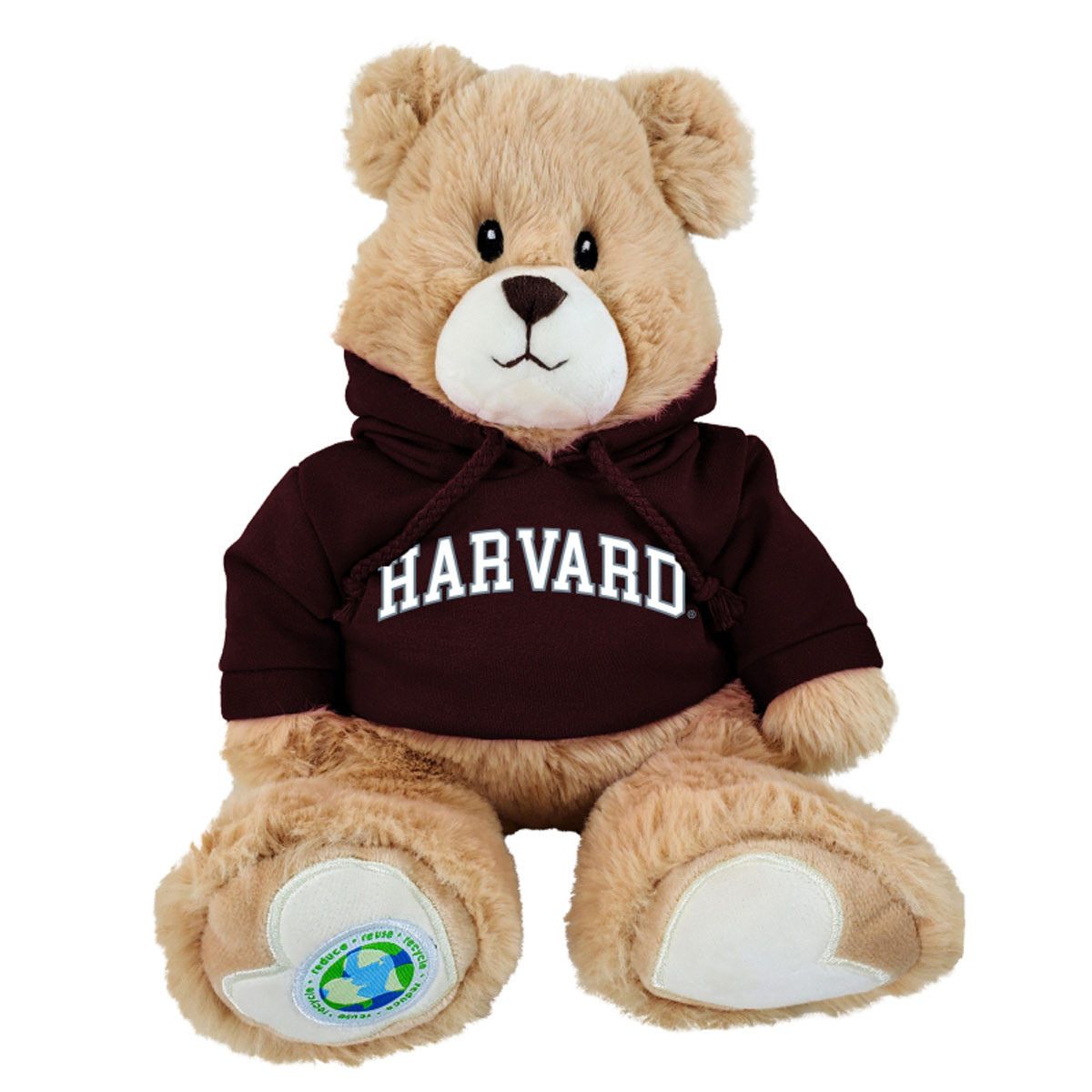 4540-Harvard Ethel the Eco-friendly Bear_media.jpg