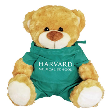4690-Harvard Fred Bear in Medical Scrubs_media.jpg