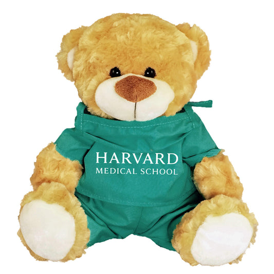 4690-Harvard Fred Bear in Medical Scrubs_media.jpg