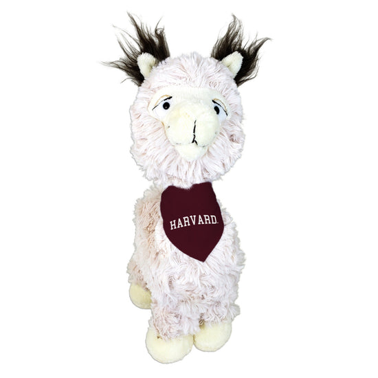 4693-Harvard Tony Llama with Bandana_media.jpg