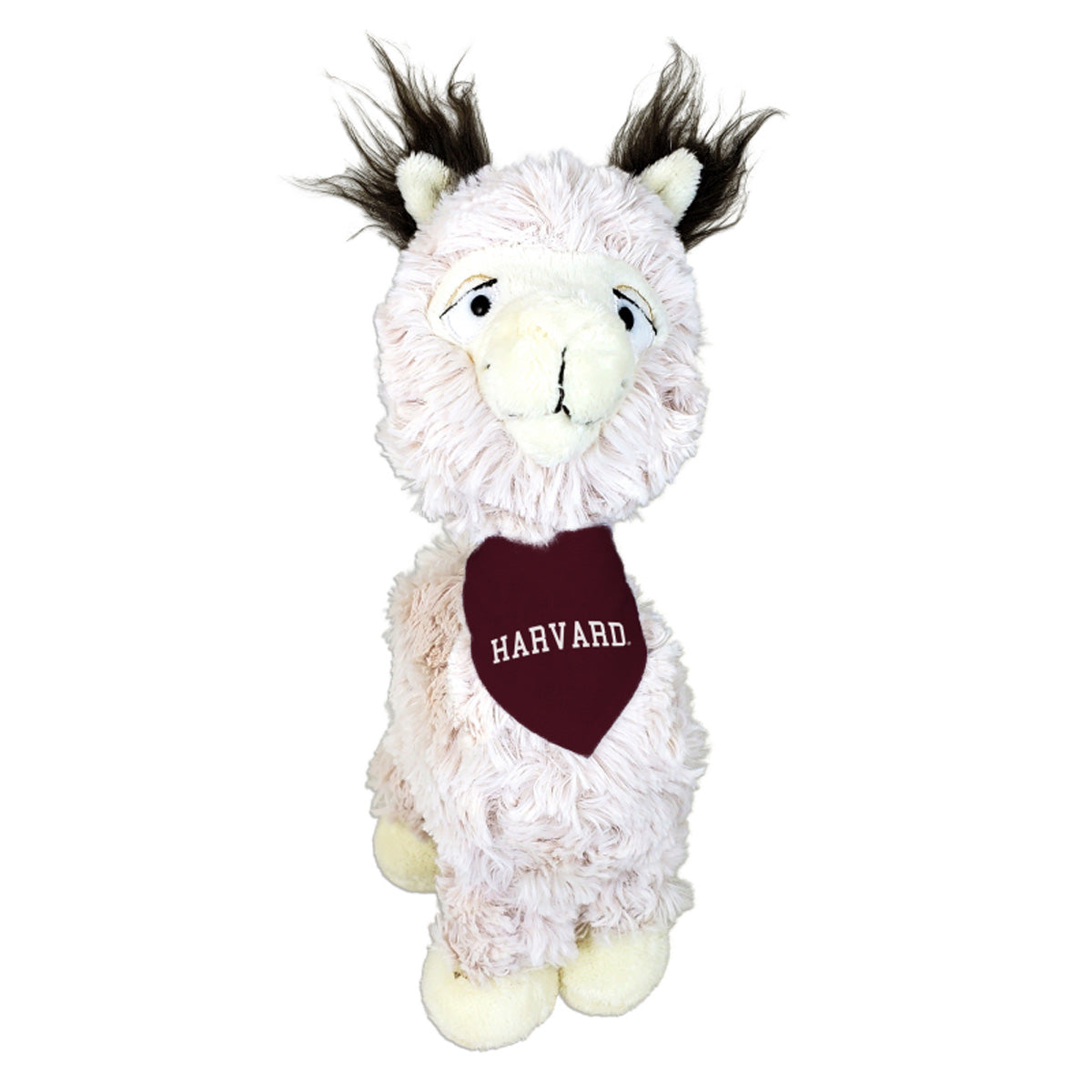 4693-Harvard Tony Llama with Bandana_media.jpg
