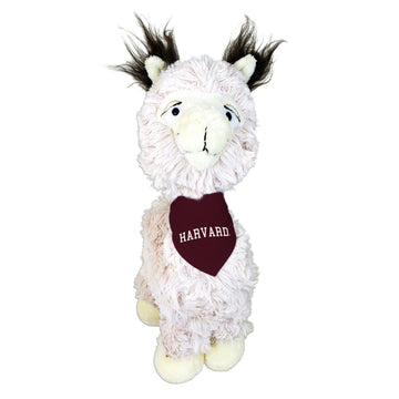 4693-Harvard Tony Llama with Bandana_media.jpg
