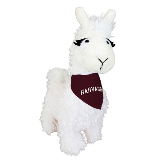 4694-Harvard Tina Llama with Bandana_media.jpg