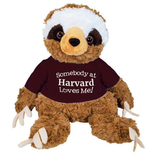 4695-Harvard Sloth with Tee Shirt_media.jpg