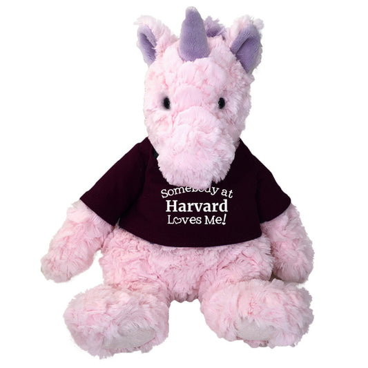 4696-Harvard Unicorn with Tee Shirt_media.jpg