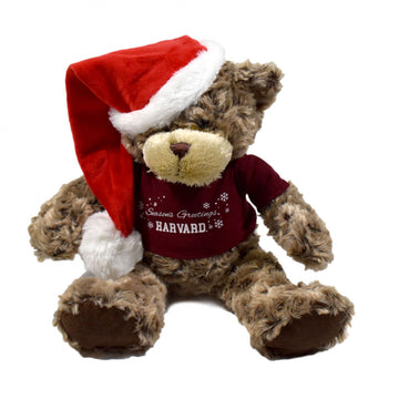 5810-Harvard Holiday Bear_media.jpg