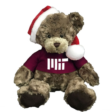 5811-MIT Holiday Bear_media.jpg