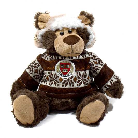 5812-Harvard Cozy Winter Bear_media.jpg