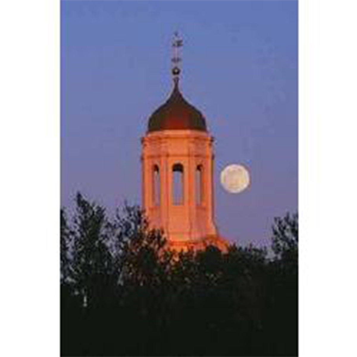 6016-Dunster House_media.jpg