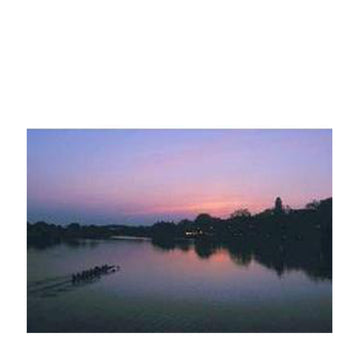 6024-Rowers on the Charles_media.jpg