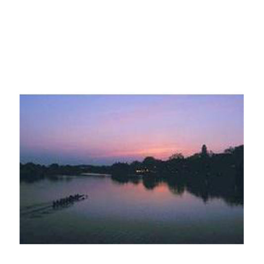 6024-Rowers on the Charles_media.jpg