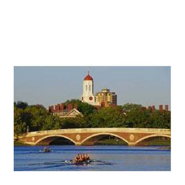 6025-Rowers by the Bridge_media.jpg