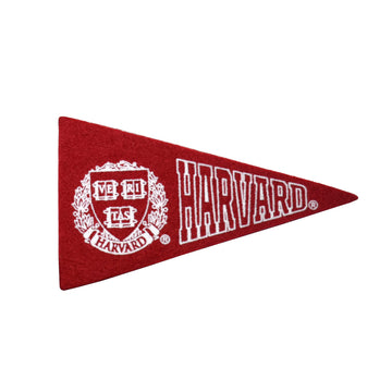 6034-Harvard 3 x 5 Mini Pennant Magnet_media.jpg