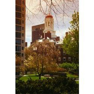 6149-Dunster House_media.jpg