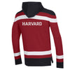 6394-Harvard Champion Superfan Big Stripe Hockey Hood_media_02.jpg