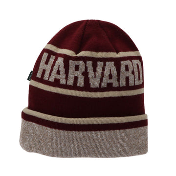 6575-Harvard Marled Cuff Embroidered Cuff Beanie_media.jpg